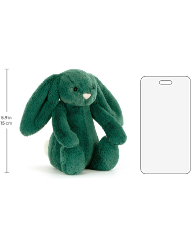 Jellycat Peluche Bashful Teal Bunny