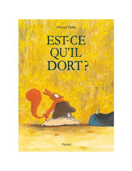 Livre Est-ce qu'il dort ? - L'école des loisirs - Moulin Roty