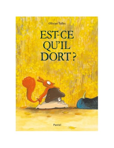 Livre Est-ce qu'il dort ? - L'école des loisirs - Moulin Roty