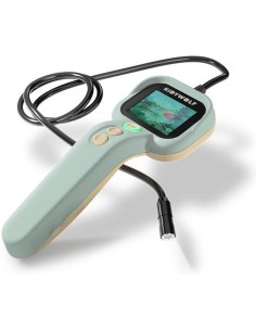 Kidyexplore – - Kidywolf