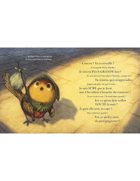 Livre Chevalier Chouette et petite oiselle - L'école des loisirs - Moulin Roty