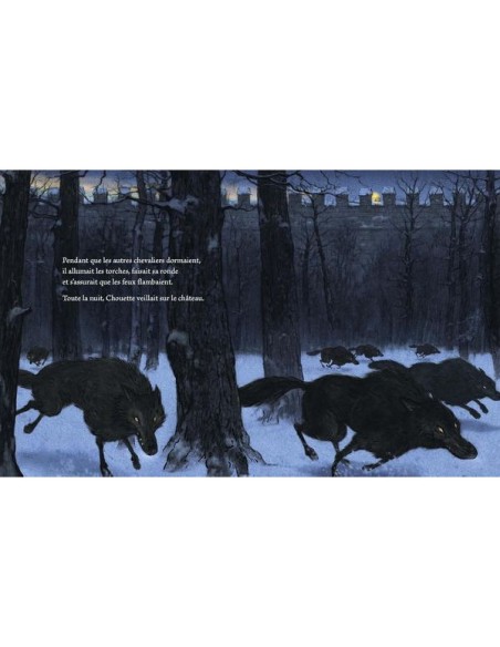 Livre Chevalier Chouette et petite oiselle - L'école des loisirs - Moulin Roty