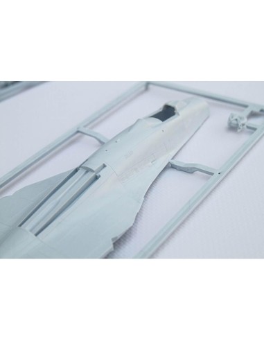 Maquette avion : Starter Kit : Su-27 Ub/P Ukraine - Heller 56371