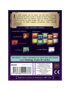 Fantasy 2 - Asmodee 2
