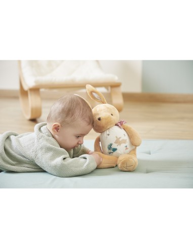 Peluche lapin pour l'éveil sonore de bébé, dès la naissance - Kaloo