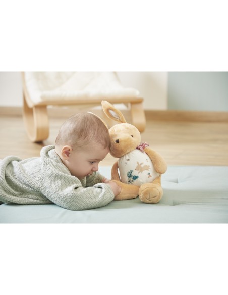 Peluche lapin pour l'éveil sonore de bébé, dès la naissance - Kaloo