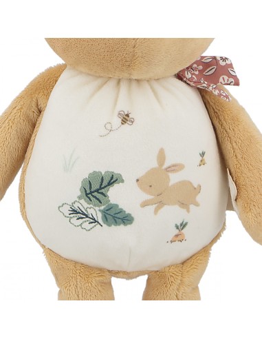 Peluche lapin pour l'éveil sonore de bébé, dès la naissance - Kaloo