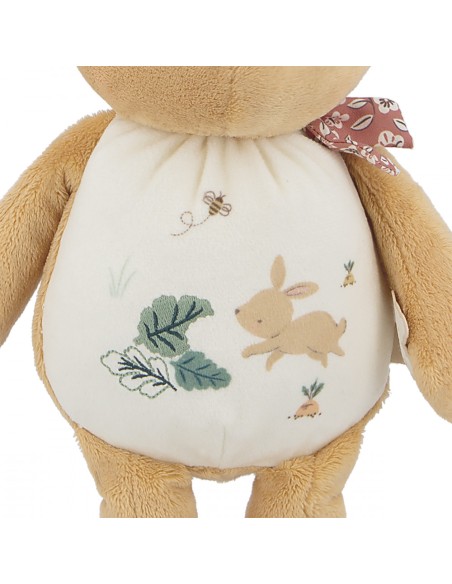 Peluche lapin pour l'éveil sonore de bébé, dès la naissance - Kaloo
