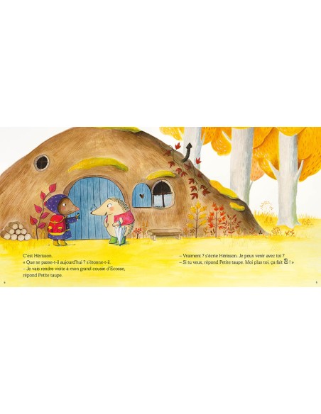 Le voyage de petite taupe - Auzou