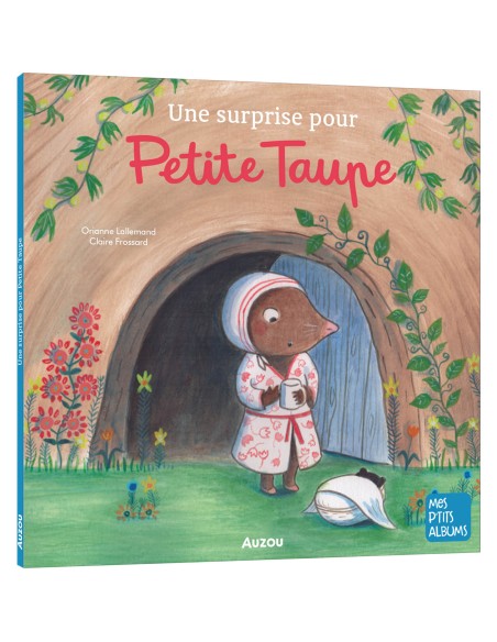 Une surprise pour petite taupe - Auzou