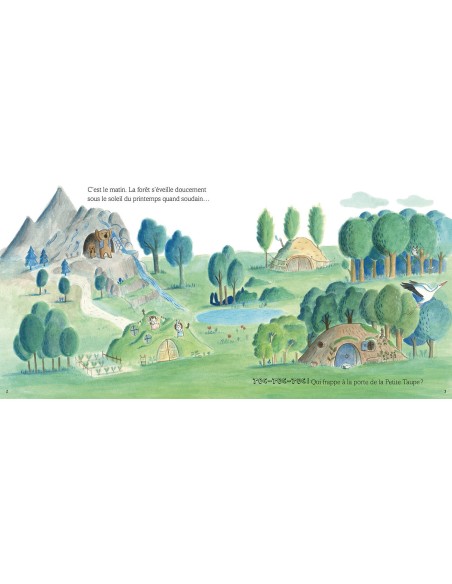 Une surprise pour petite taupe - Auzou