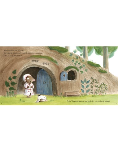 Une surprise pour petite taupe - Auzou