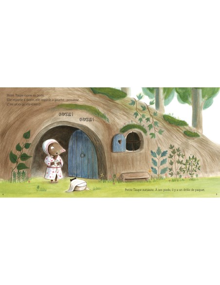 Une surprise pour petite taupe - Auzou