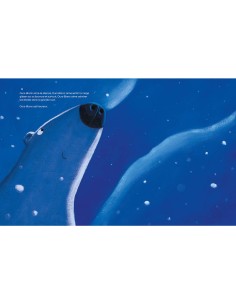 Un ami tombé du ciel - Auzou 2