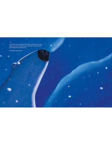 Un ami tombé du ciel - Auzou