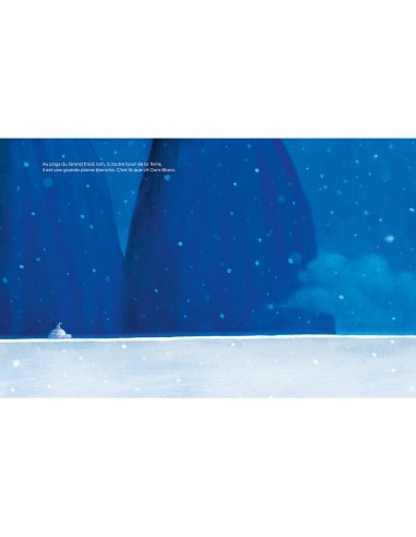 Un ami tombé du ciel - Auzou