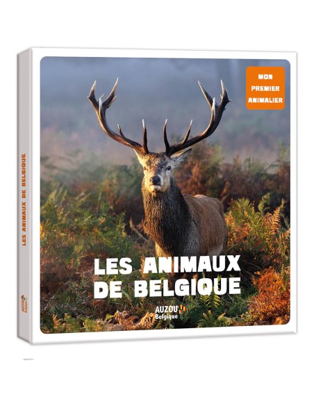 Les animaux de belgique - Auzou