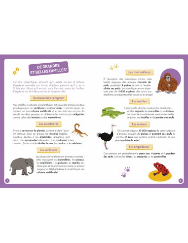 À la découverte des animaux du monde - Auzou