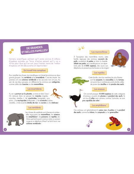 À la découverte des animaux du monde - Auzou