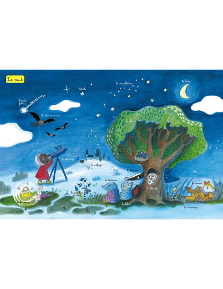 Petite taupe - L'imagier de la nature - Auzou