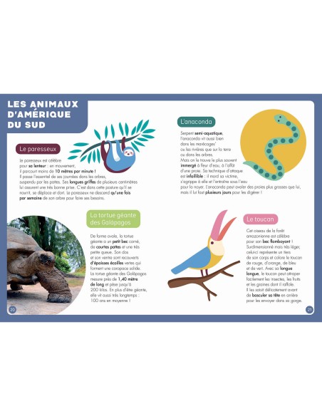 Atlas : un puzzle - Un livre - Un poster - Auzou