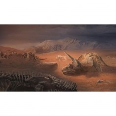 Escape Game - Unlock 4 Exotic Adventures - Space Cowboys - Asmodee 2