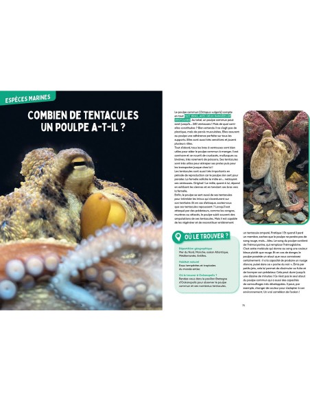 Les mystères de l'océan - Science & vie junior - Auzou