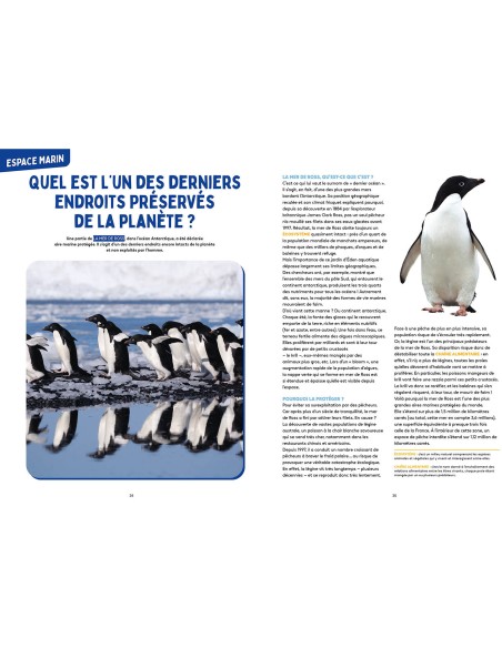 Les mystères de l'océan - Science & vie junior - Auzou