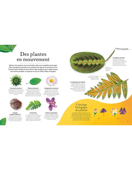 L'anthologie insolite des plantes - Auzou