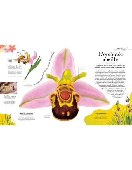 L'anthologie insolite des plantes - Auzou