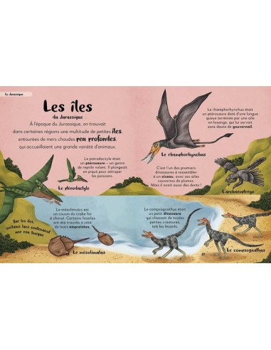 Ma première anthologie des dinosaures - Auzou