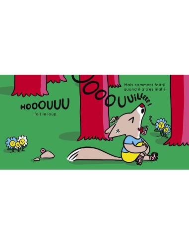 Qui fait ce drôle de bruit ? - Auzou