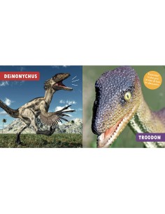 Mon premier doc photo - Les dinosaures - Auzou 2