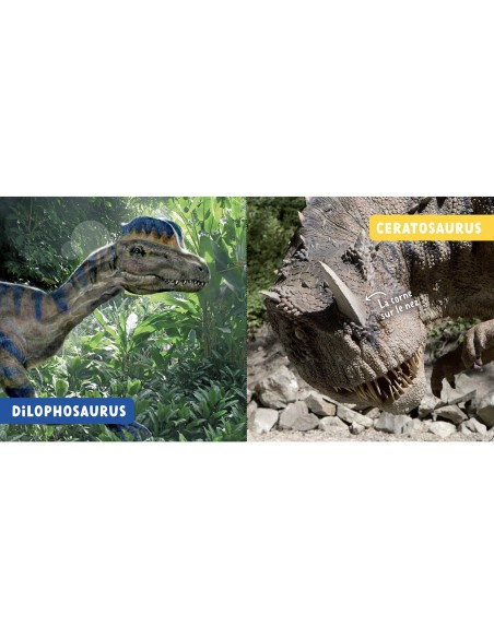 Mon premier doc photo - Les dinosaures - Auzou