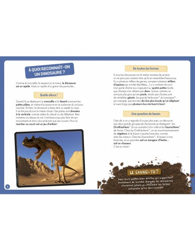 A la découverte des dinosaures - Auzou