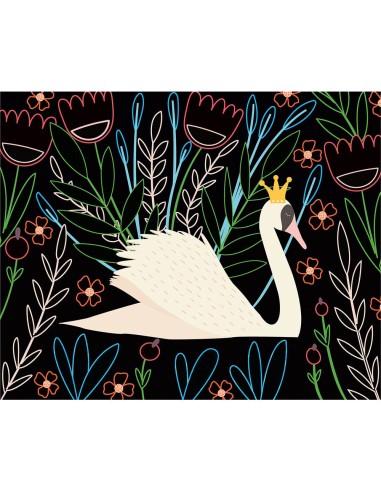 Ma pochette d'artiste - Mes cartes à gratter - Oiseaux fantastiques - Auzou