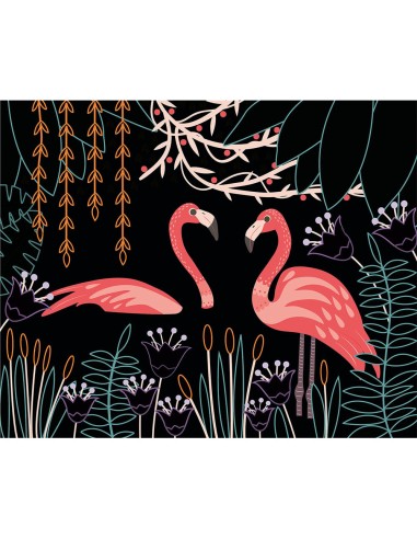 Ma pochette d'artiste - Mes cartes à gratter - Oiseaux fantastiques - Auzou