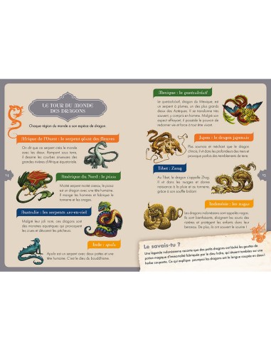 À la découverte des dragons - Auzou