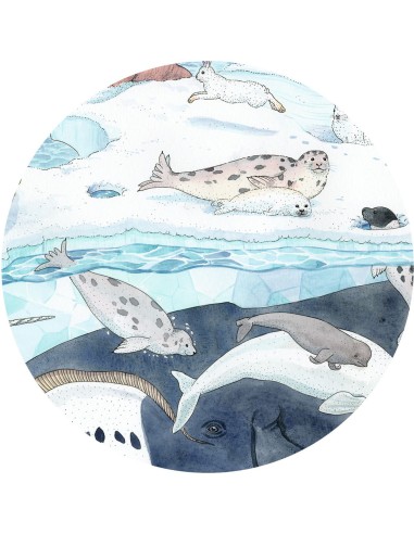 Douceur polaire - 54 pcs - Djeco