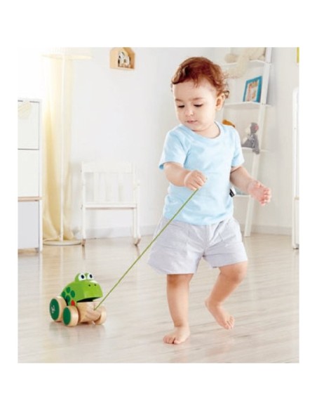 Grenouille a promener Hape - Hape Toys