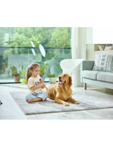 Flûte à bec d'apprentissage - Hape