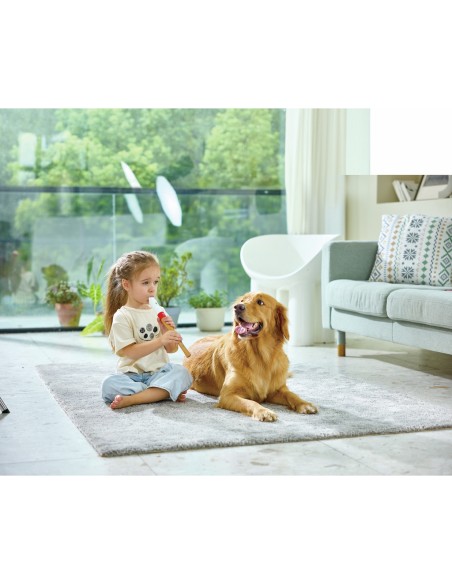 Flûte à bec d'apprentissage - Hape