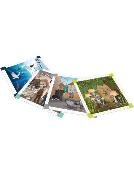 BrainBox: Trouve les Différences – dans la Nature - Jeux de société - Green Board Game Company - Asmodee