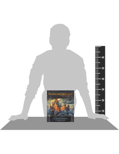Seigneur des Anneaux Jce : Le Réveil d'Angmar - Extension Campagne - Jeux de société - Fantasy Flight Games