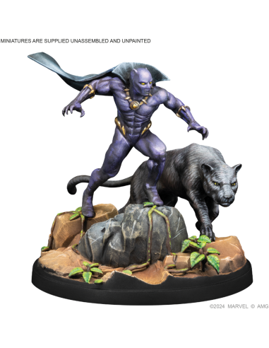 Black Panther, Chosen Bast Namor, Submariner - Extension Marvel Crisis Protocol - Atomic Mass Games