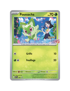 : Carte Promo Novembre 2024 - Pokémon