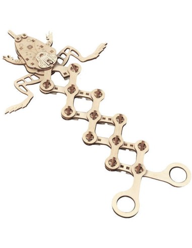 Grenouille - maquette 3D mobile en bois - Mr Playwood