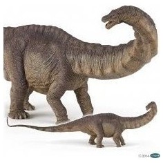 Apatosaure - Figurine Dinosaure - Papo 2