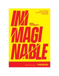 Inimaginable - Jeux de société - Gigamic