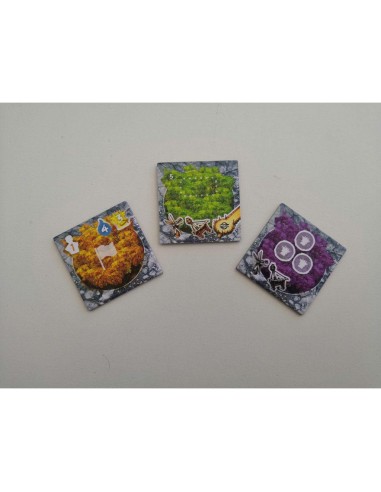 Les Tribus du Vent - Jeux de société - La Boite De Jeu